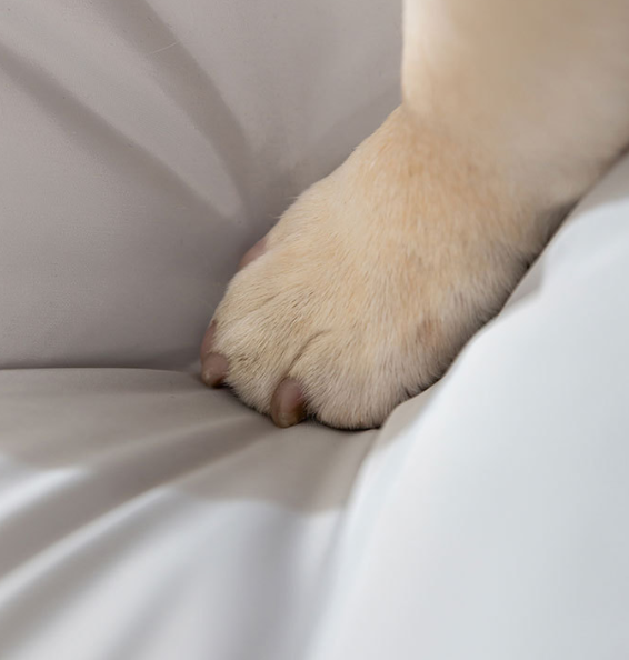Waterproof Pet Mattress