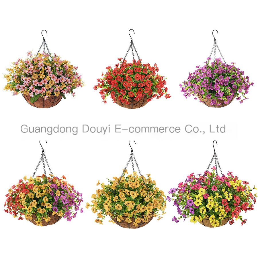 Hanging Basket Spider Plant