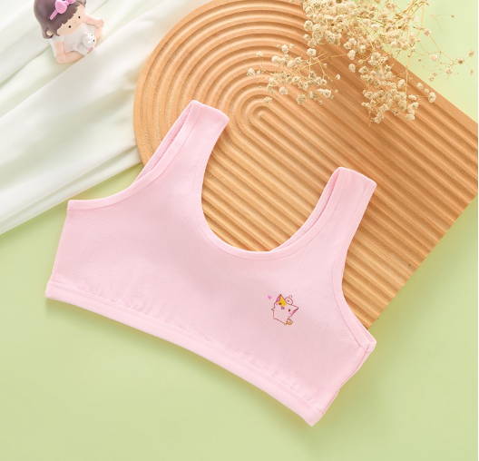 Bra Image 4