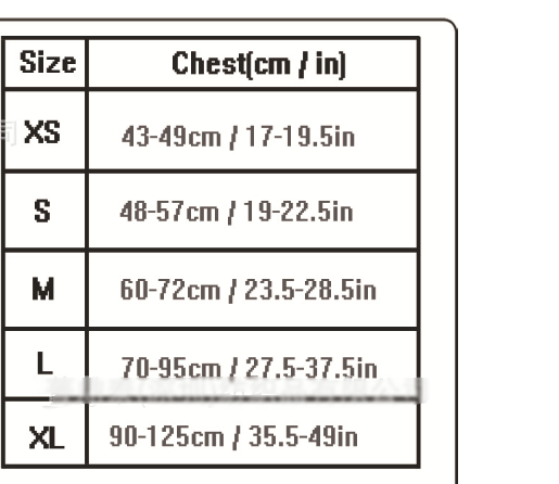Pet Harness Image 1