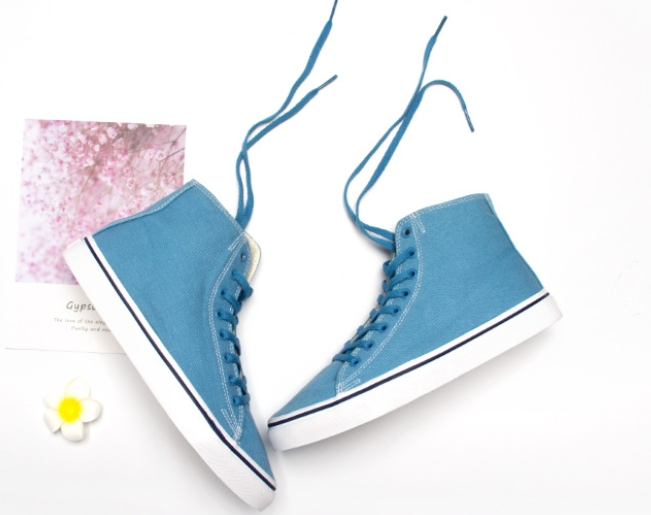 Canvas Shoe 4