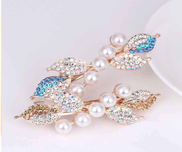 Hair Clip Image 2