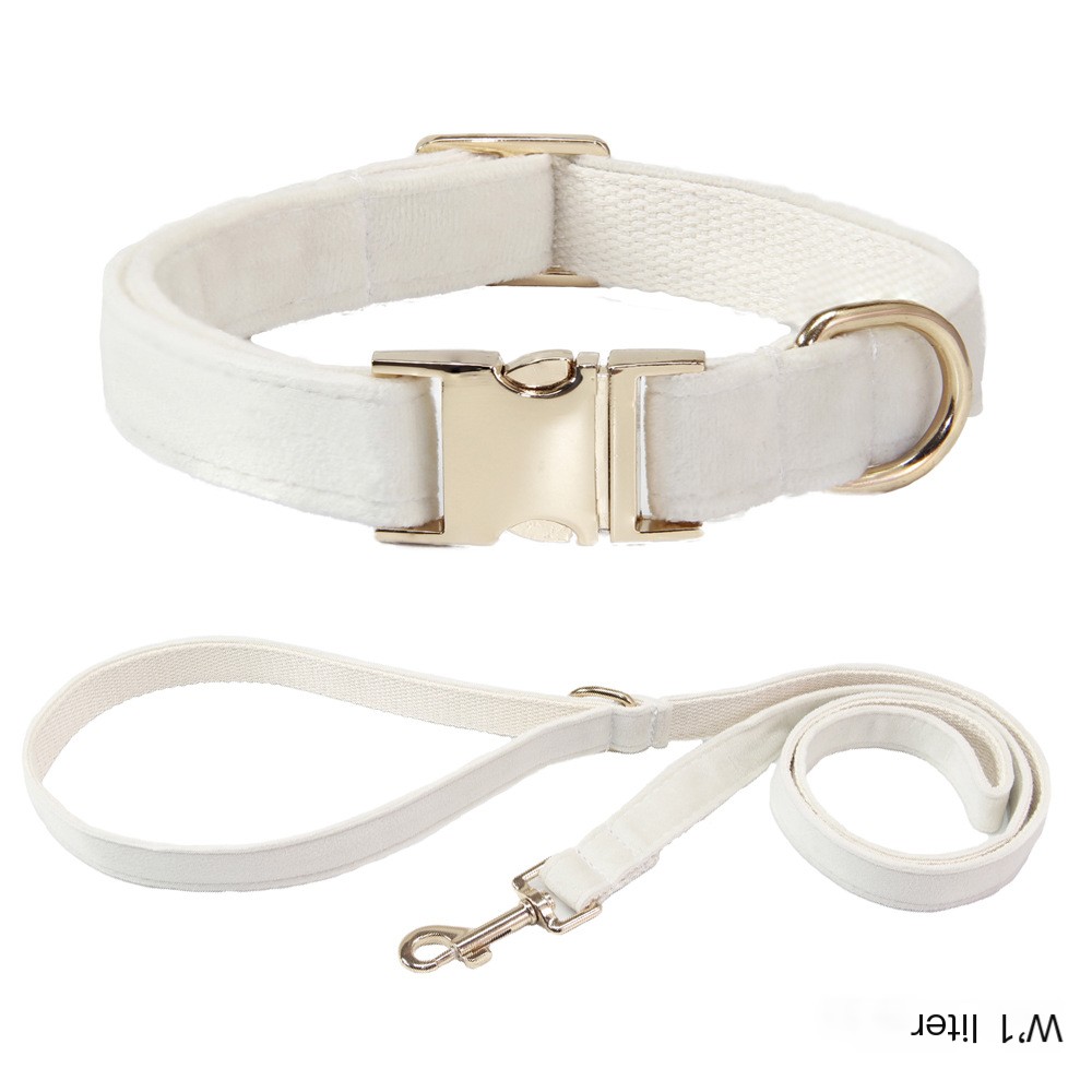 Dog Leash and Collar Style 2