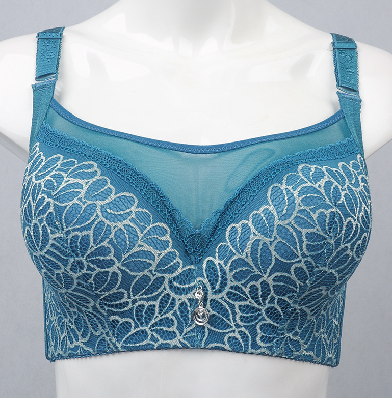 Bra Image 2