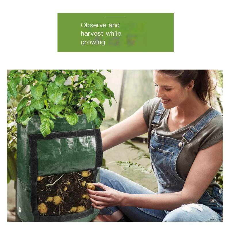 Potato planting bag main picture 4