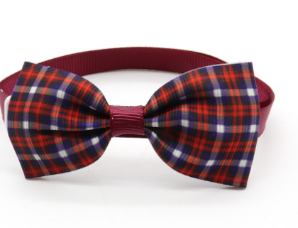 Paw Charm Collar Image 1