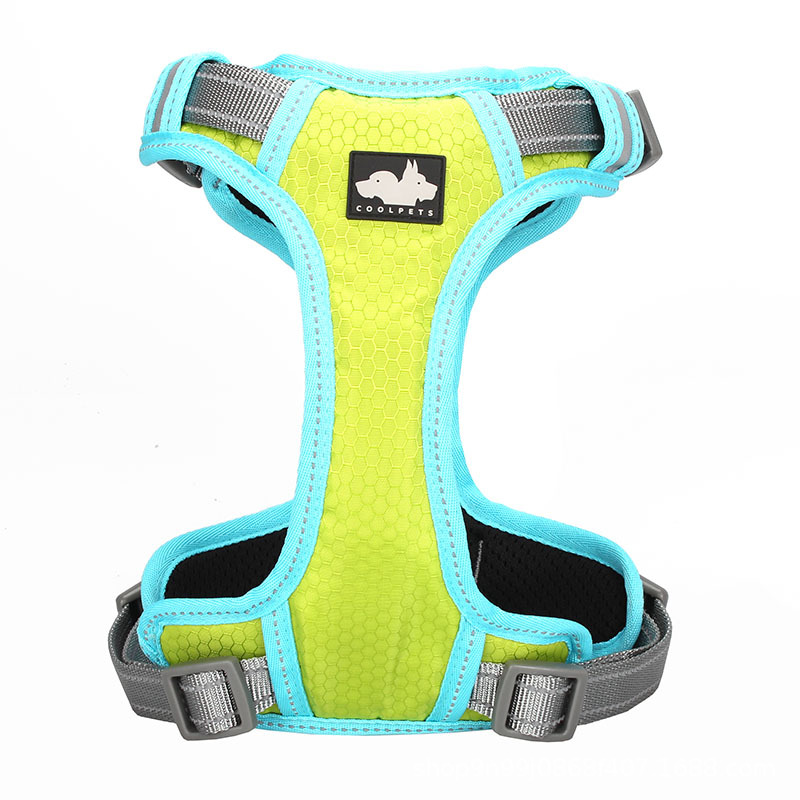 Perfect for Outdoor Adventures