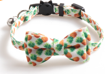 Color Pet Collar 3