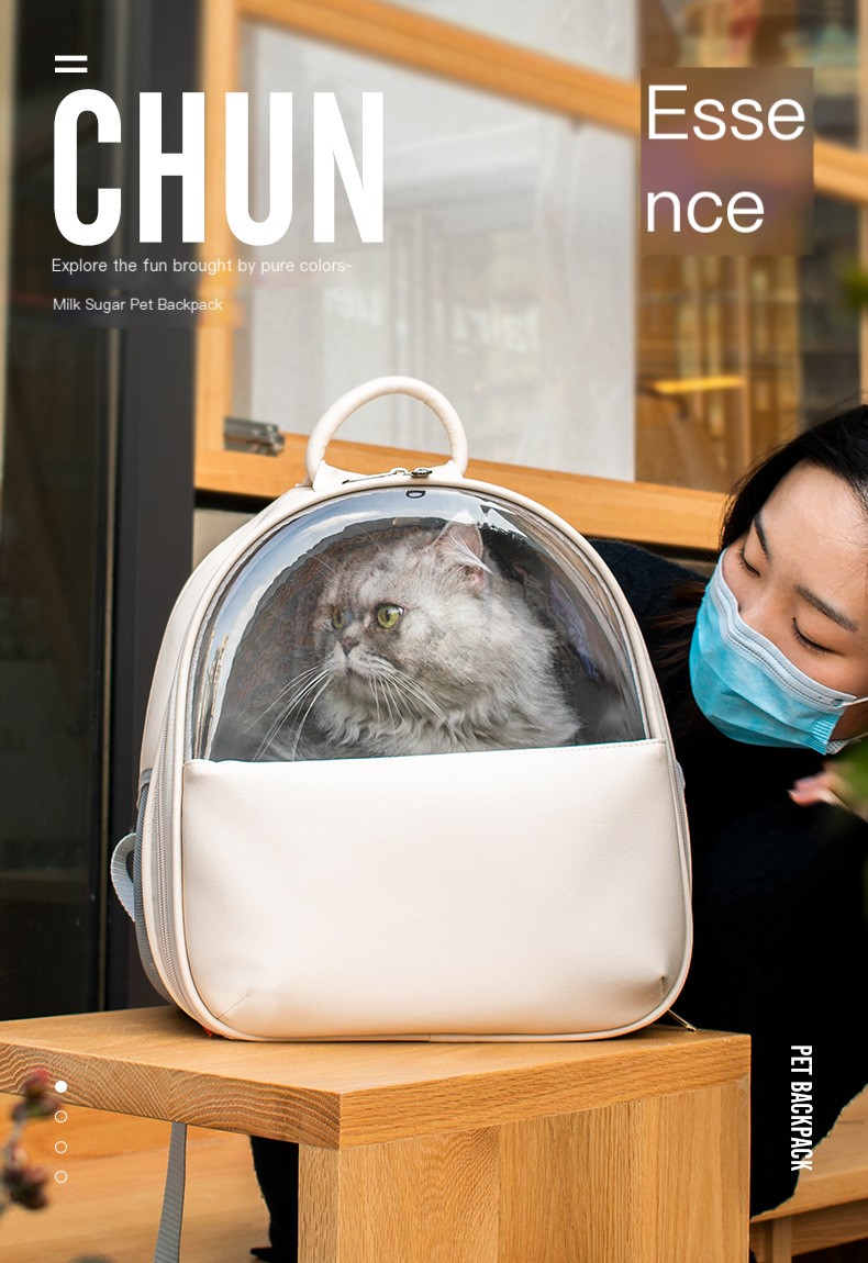 Stylish Cat Backpack
