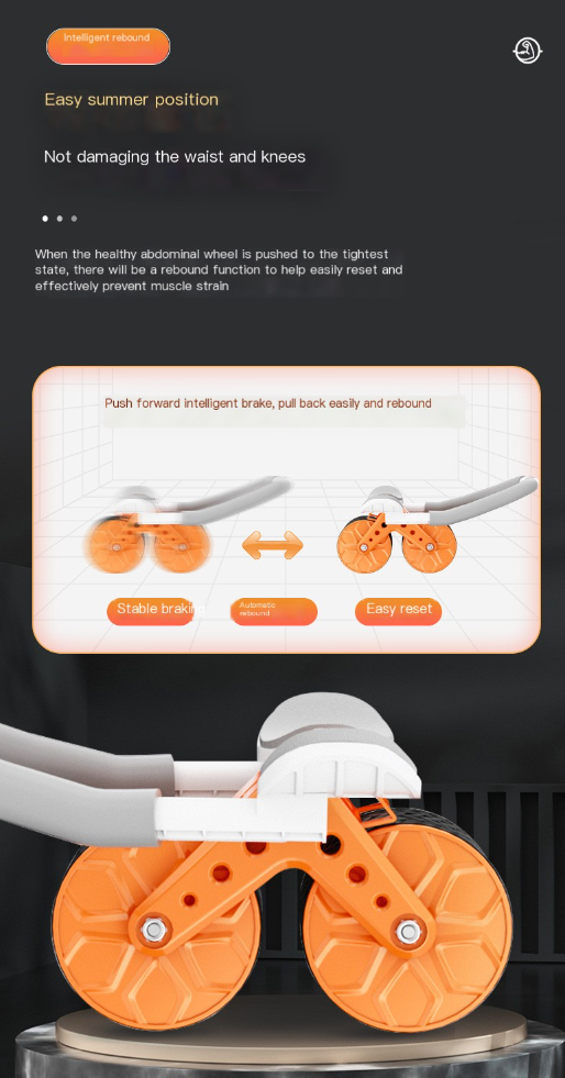 Ab Wheel Image 4