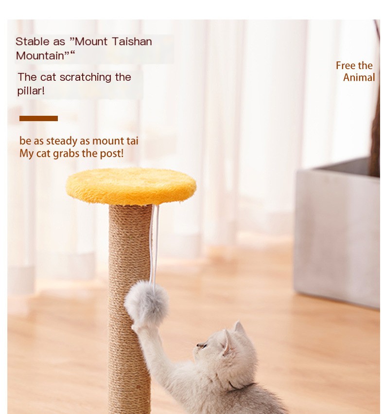 Cat Scratching Post 5