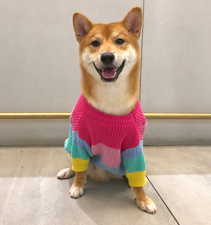 Rainbow Sweater - Close-up