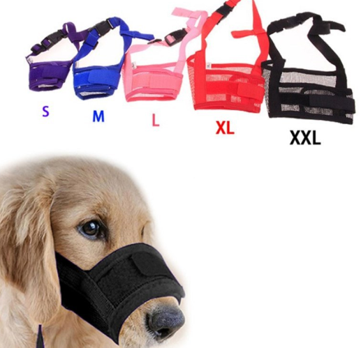 Muzzle Comfort Image 7