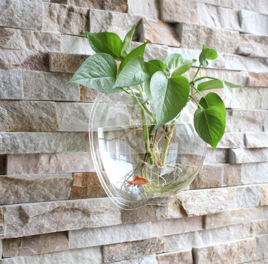Wall Planter Image 2