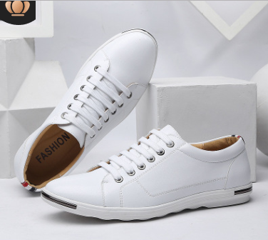 Men's Casual Shoes