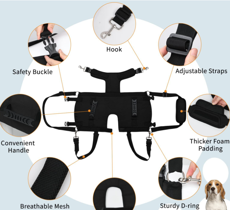 Dog Harness 2