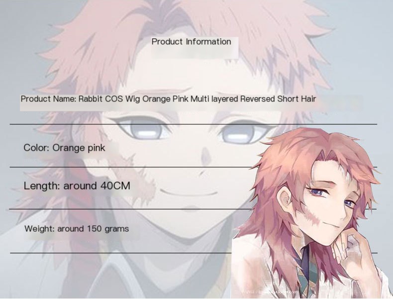 Demon Slayer Cosplay Wig Image 2