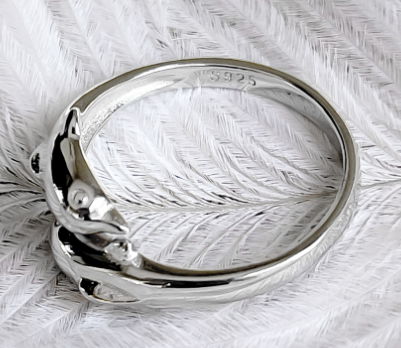 Dolphin Ring 2