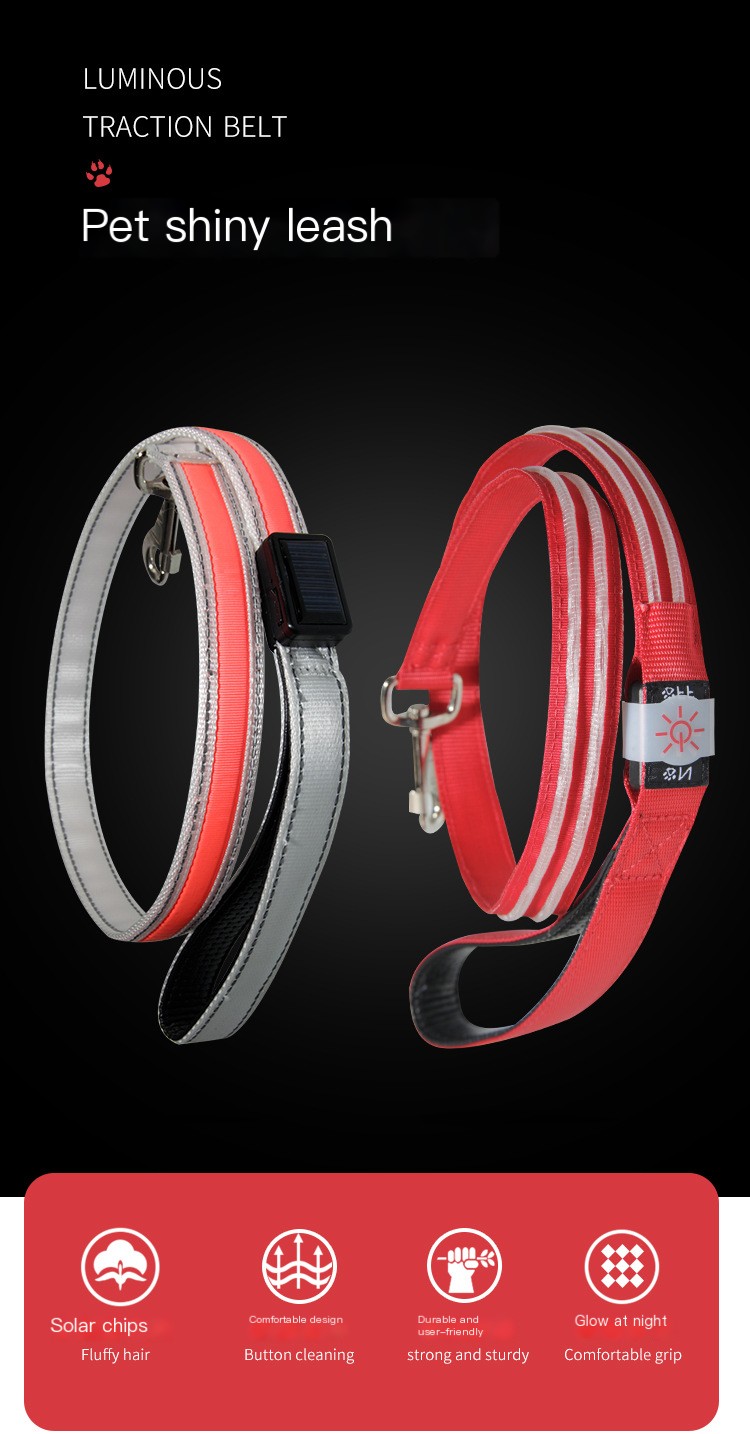 LED Dog Leash in use