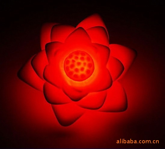 Lotus Flower Night Light 3
