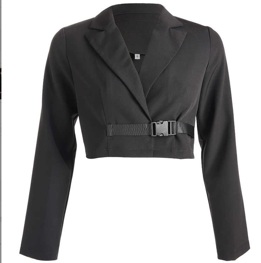 Cropped Blazer Image 2