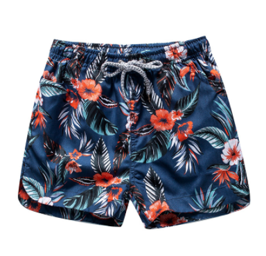 Beach Shorts Image 2