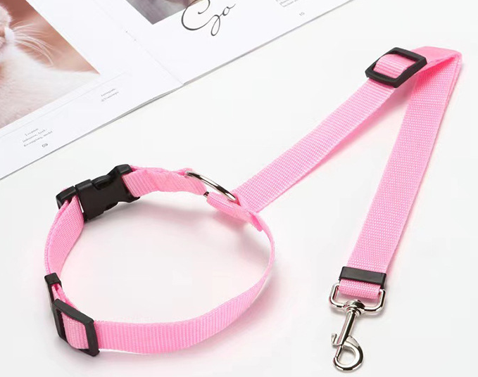 Car Safety Leash Image 4