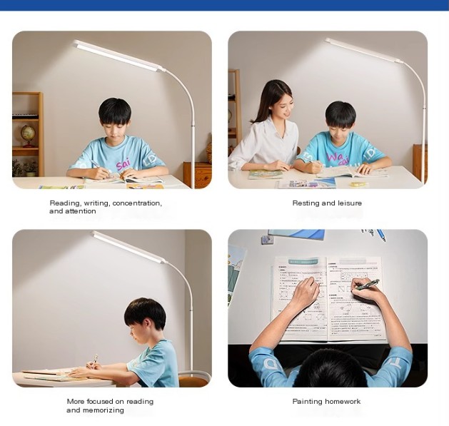 Adjustable Gooseneck Lamp