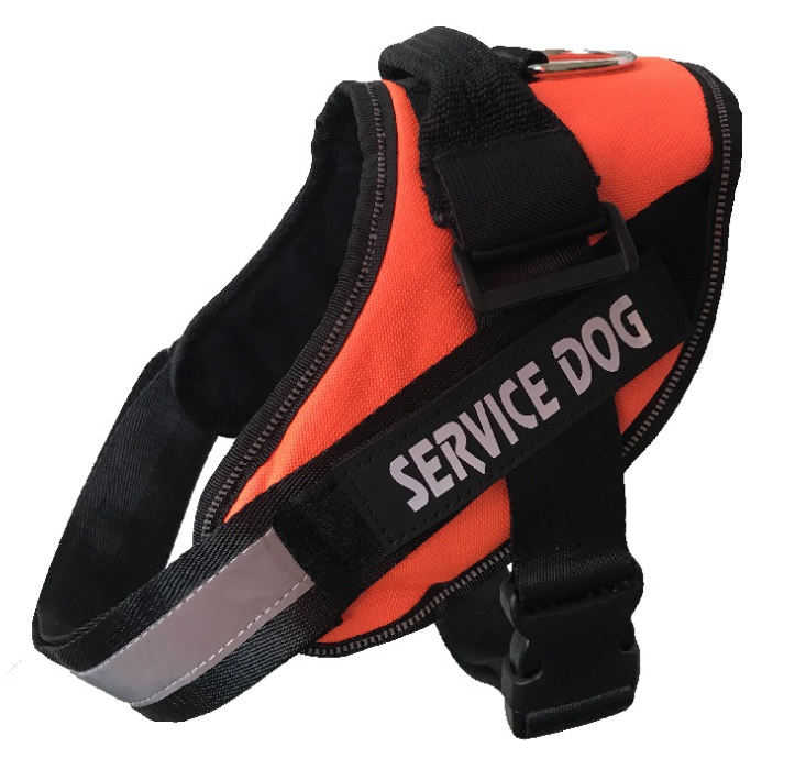 Dog Harness Image 8