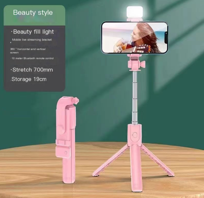 Selfie Stick 1