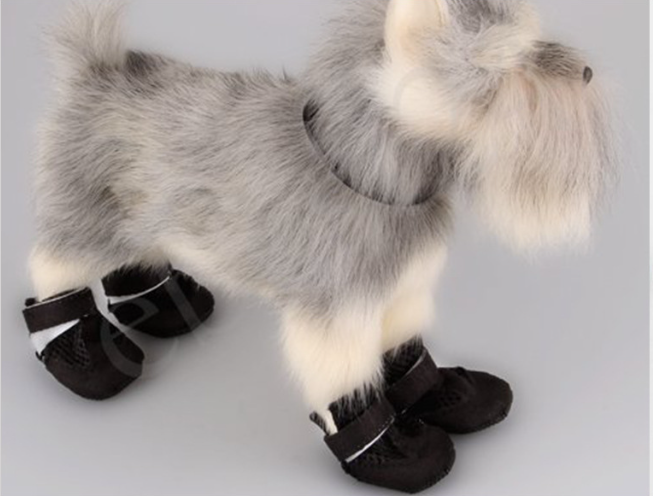 Pet Shoes Image 3