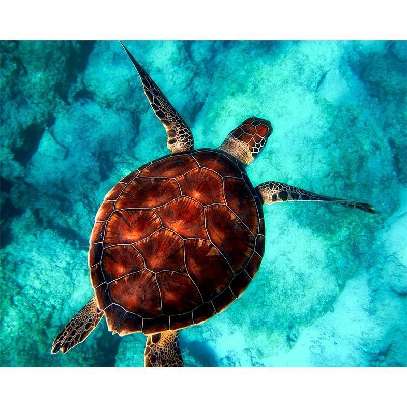 Diamond Painting Sea Turtle