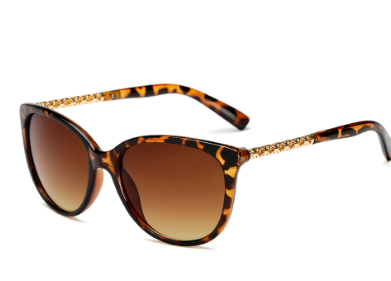 Rainbow Bridge Sunglasses Collection