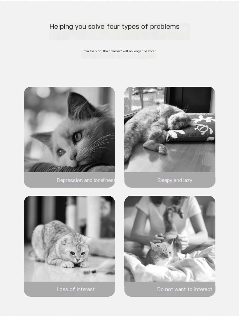 Stuffed Mouse Playtime