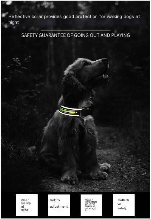 Comfortable Dog Collar Orange