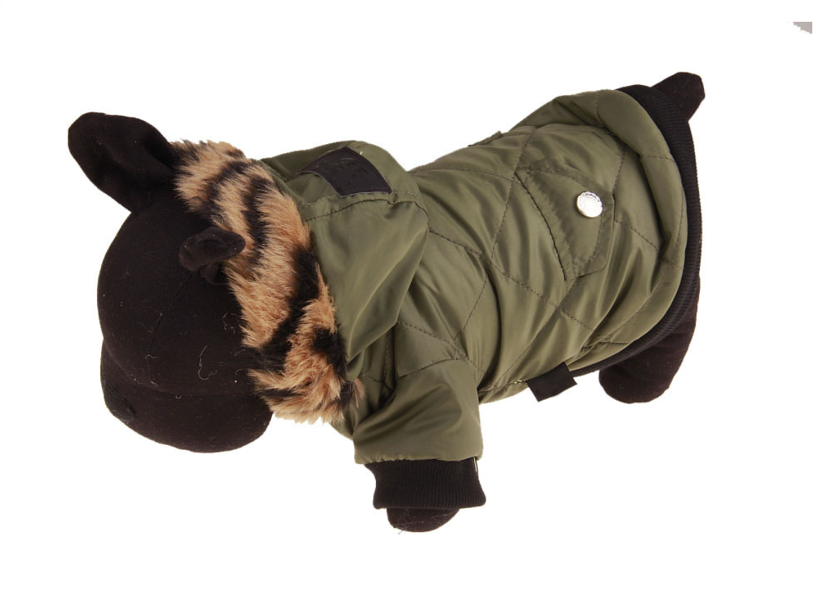 Pet Jacket Image 4