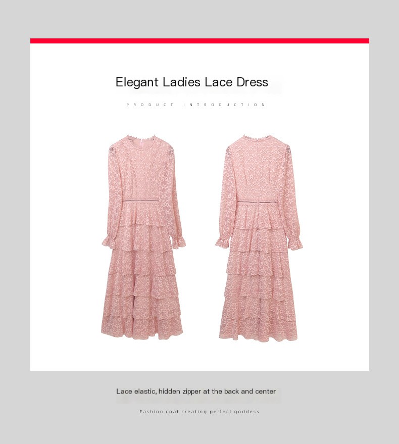 Lace Dress Image 3