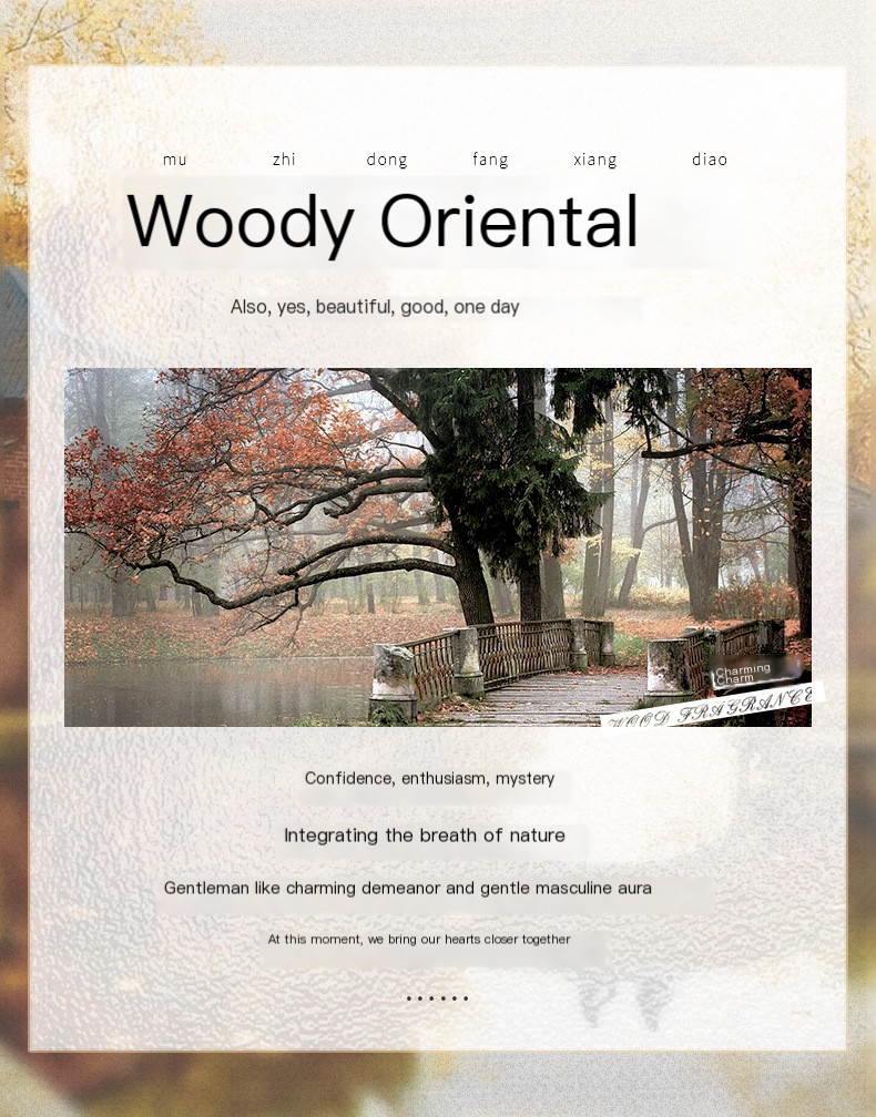 Millionaire Men's Perfume