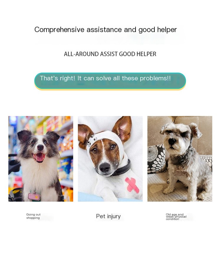 TAILUP Pet Backpack