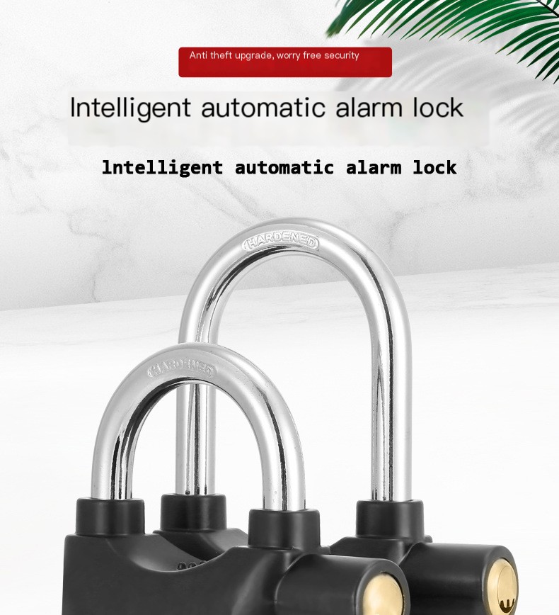 Padlock Image 3