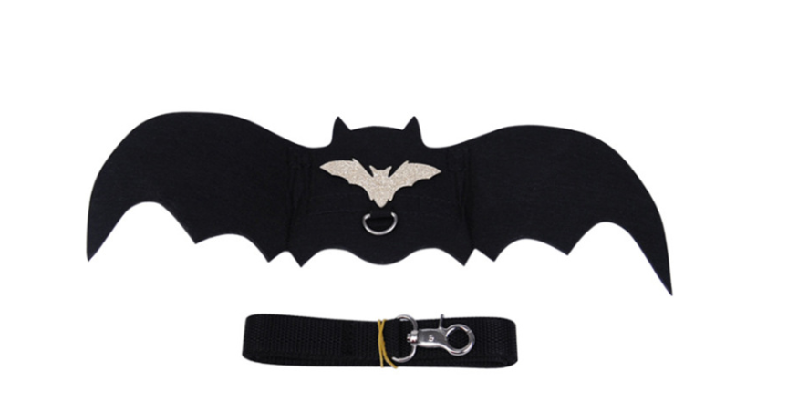 Felt Pet Leash Image 2