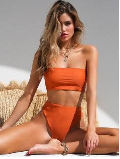 Bikini Image 3