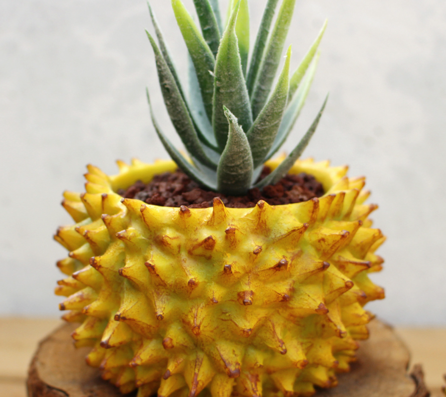 Creative Flower Pot Image 3