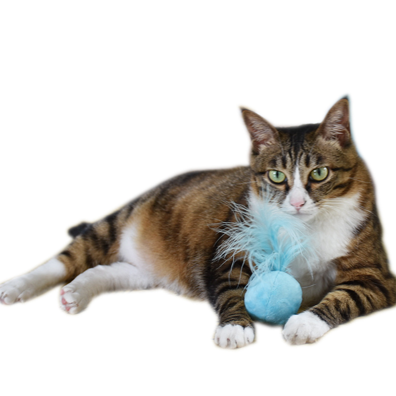 Catnip Toy Ball Image 1