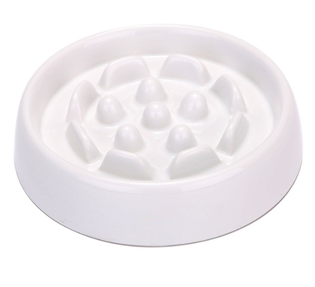 Pet Slow Feeder Bowl in Use