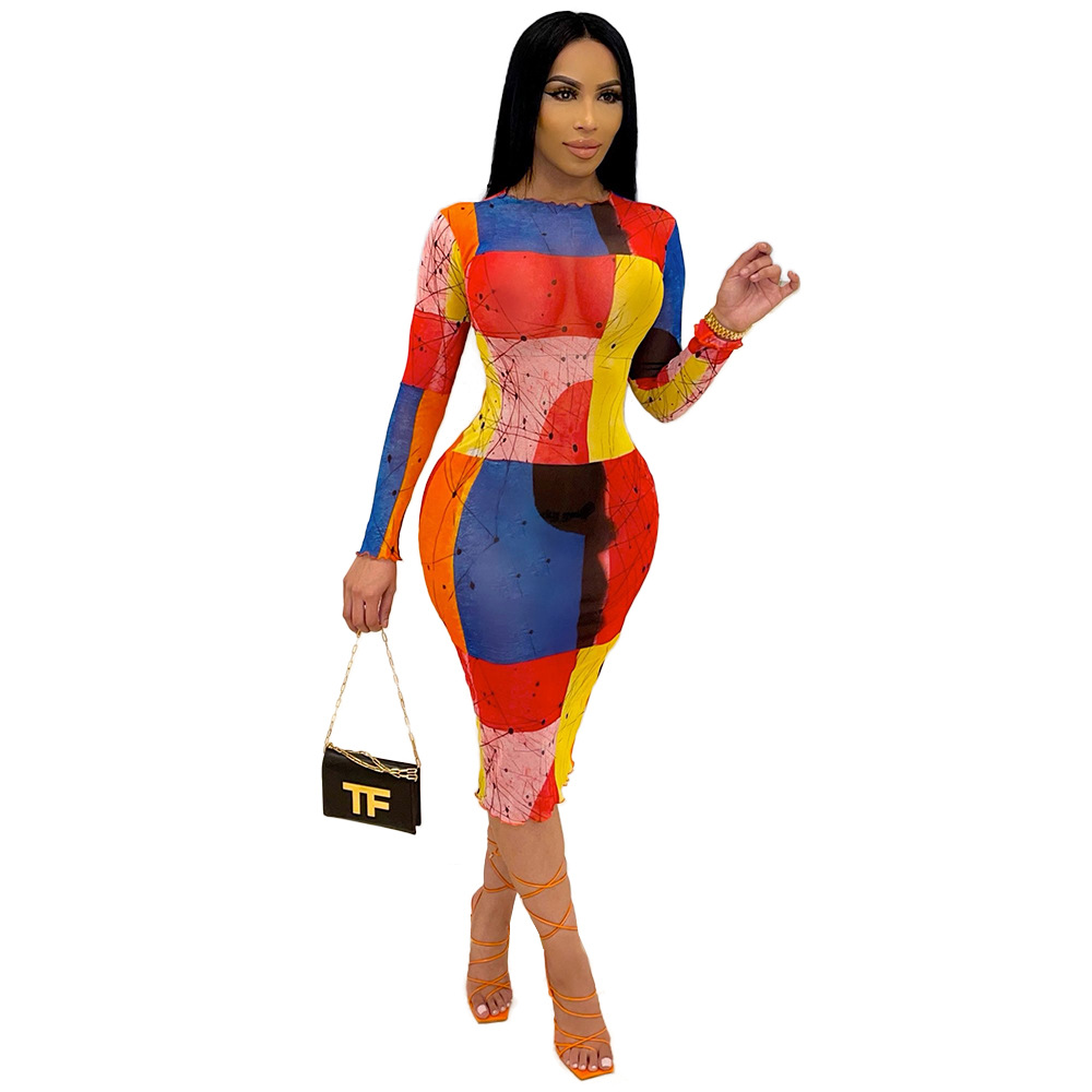 Women's Fashion Dress Image 2