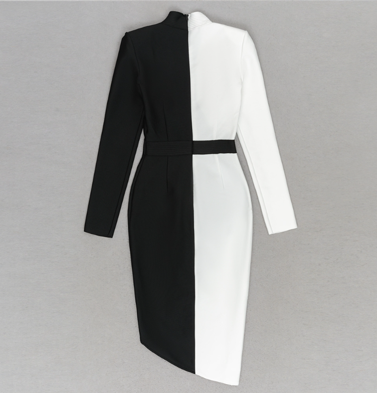 Color Block Dress Image 5