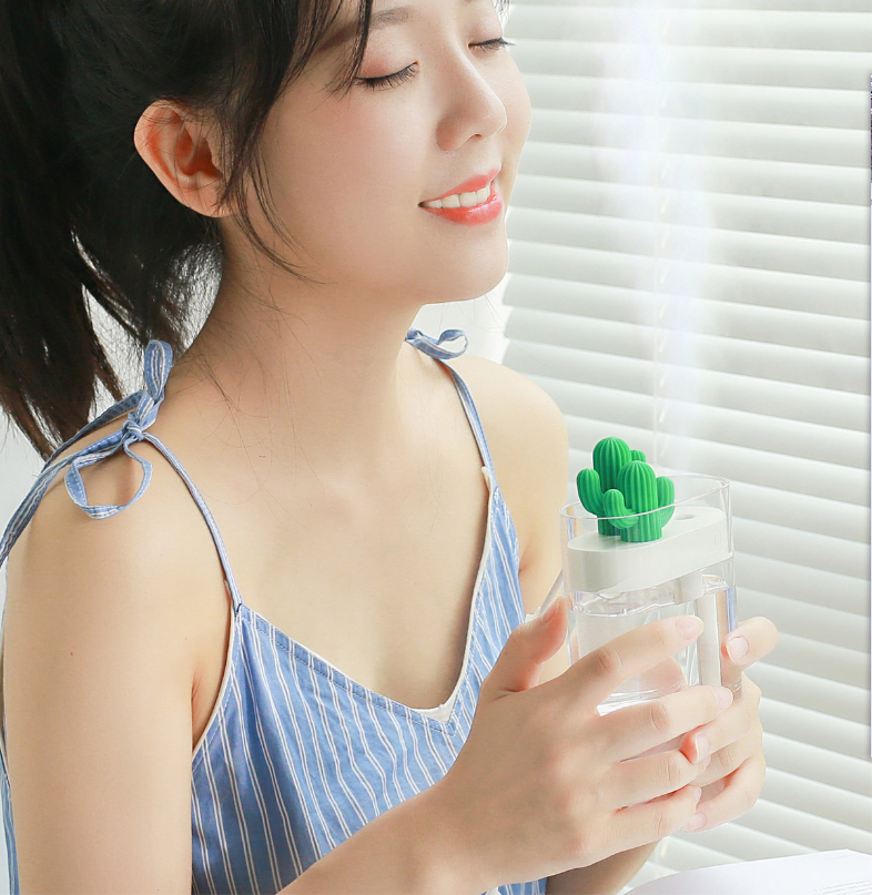 Cactus Humidifier in Action