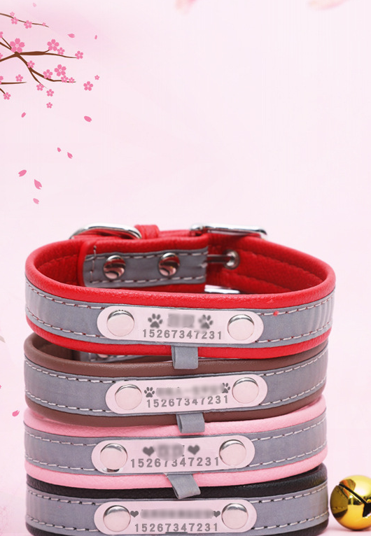 Dog Collar 4