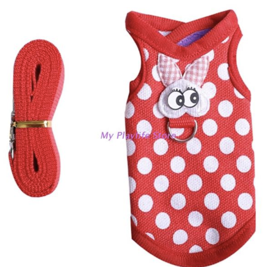 Guinea Pig Harness and Leash 3
